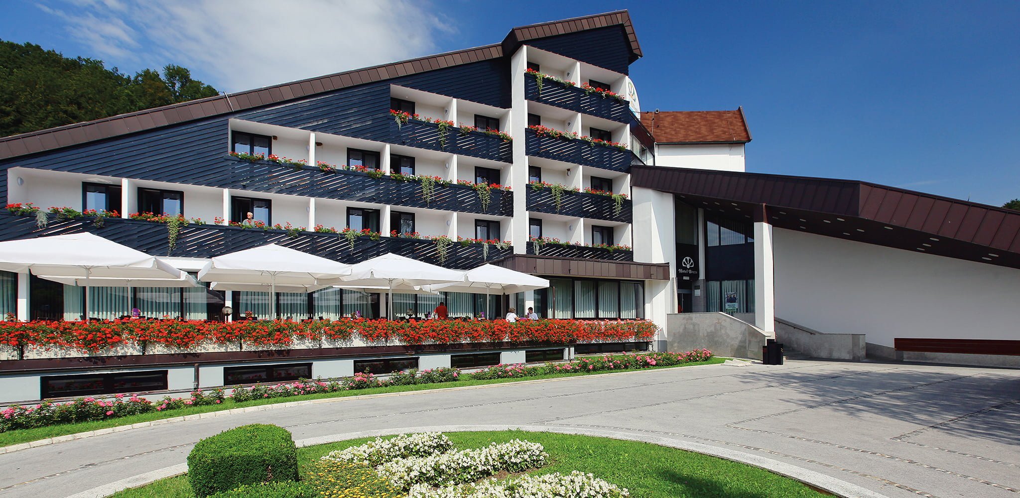 Read more about the article Hotel Breza – Terme Olimia